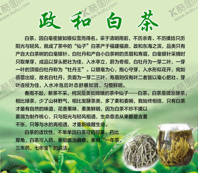 编号：64086910302356077658【酷图网】源文件下载-政和白茶