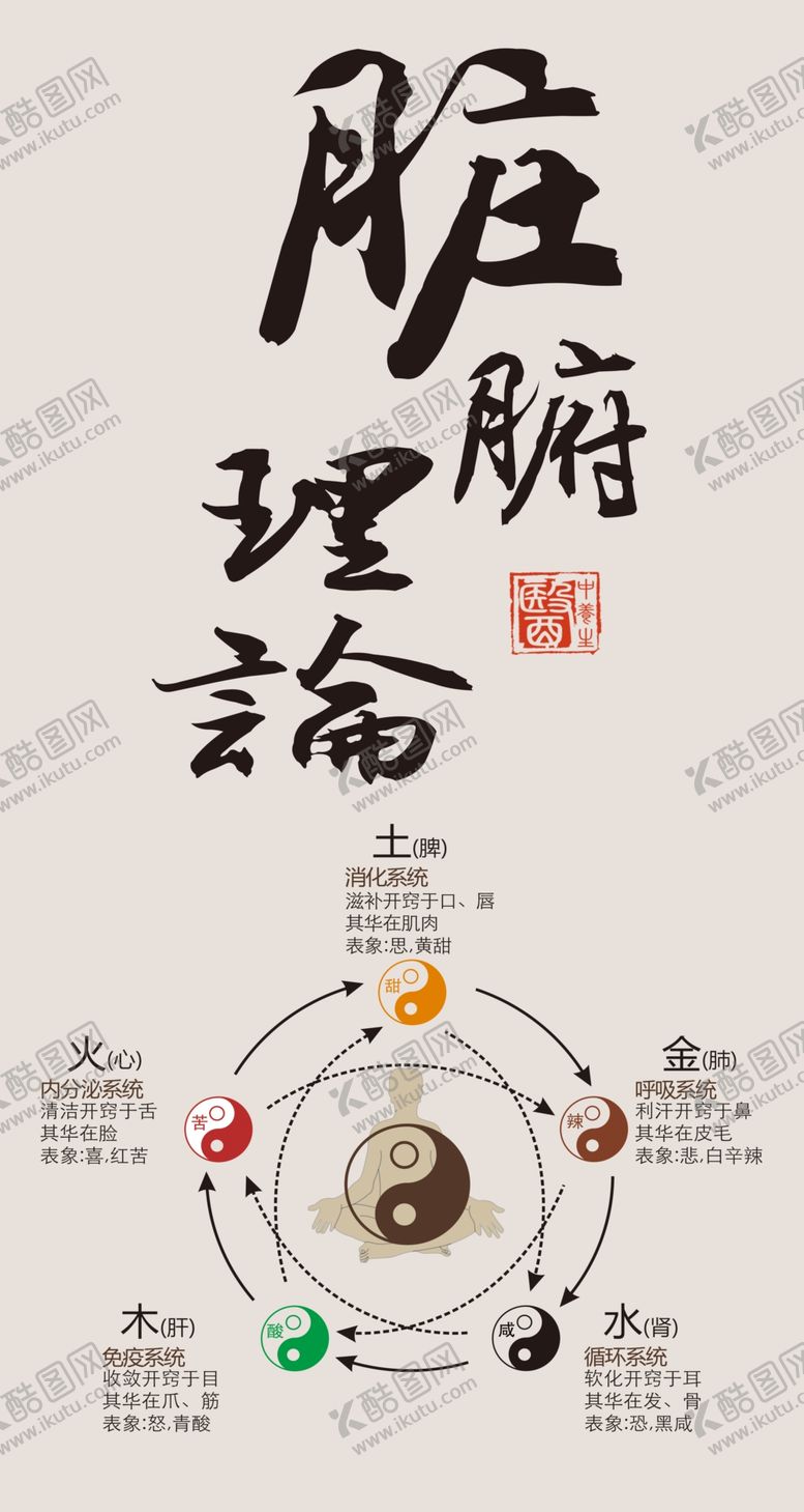 编号：46895012020205119288【酷图网】源文件下载-脏腑理论