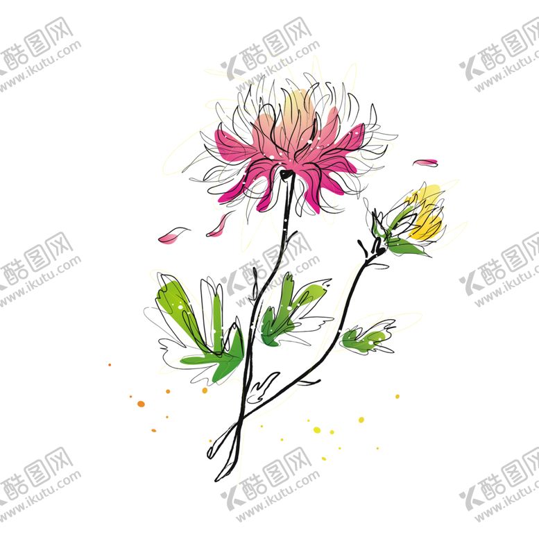 编号：66813105190753466639【酷图网】源文件下载-国画菊花