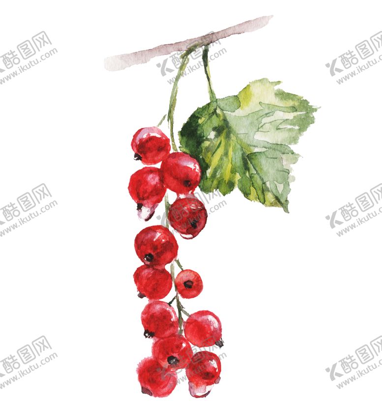 编号：76457706241033181104【酷图网】源文件下载-水果樱桃绘画