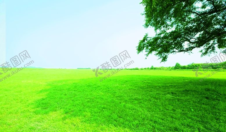 编号：77239909091033552833【酷图网】源文件下载-草原