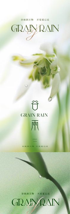 豆腐色谷雨节气海报