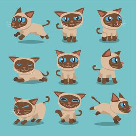 可爱小猫