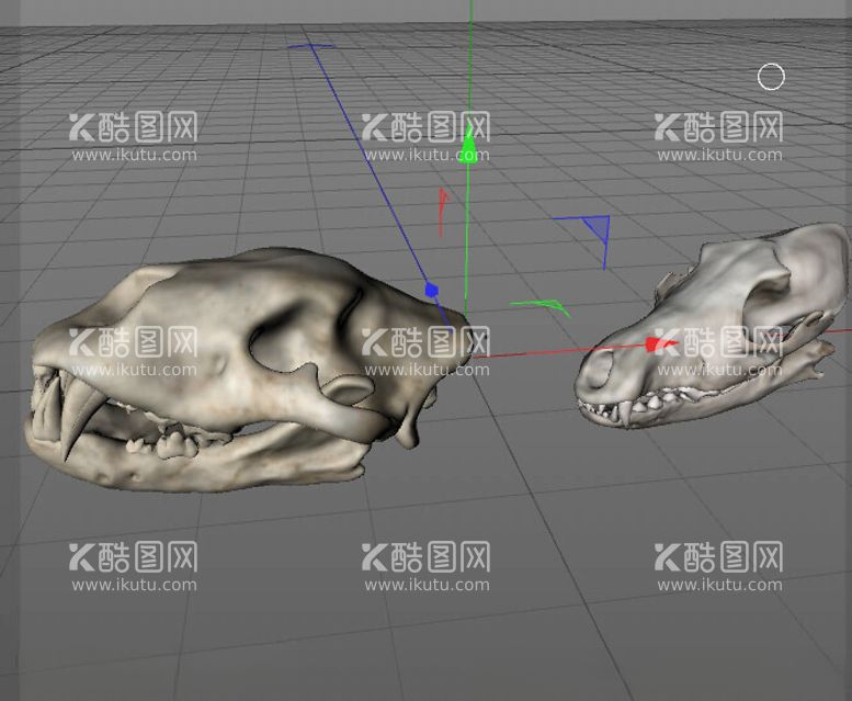 编号：32093902161832337850【酷图网】源文件下载-C4D模型骨头