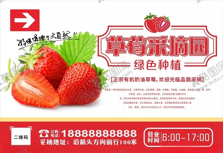 编号：12598302111425111158【酷图网】源文件下载-草莓采摘园