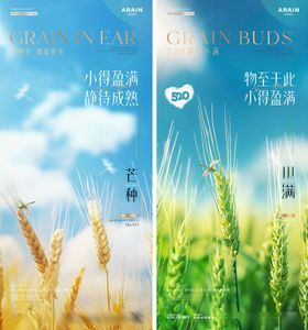 情人节小满芒种麦穗海报