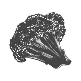 彩色素描蔬菜