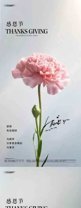 感恩节鲜花