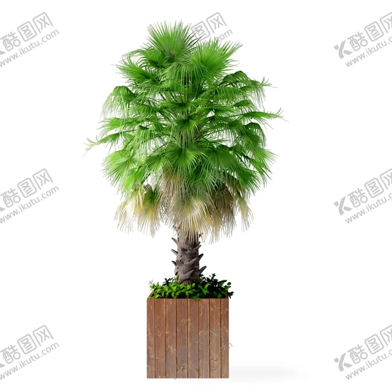 编号：37464501290003545509【酷图网】源文件下载-盆栽植物盆景 
