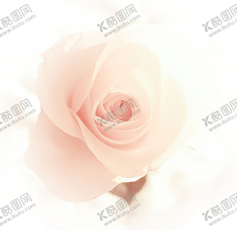 编号：84941010021852255204【酷图网】源文件下载-浪漫素材