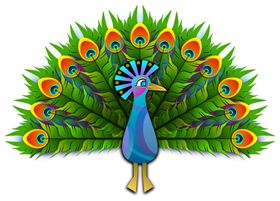 鸟类飞禽图案