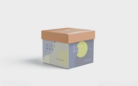 精美礼盒包装盒效果图