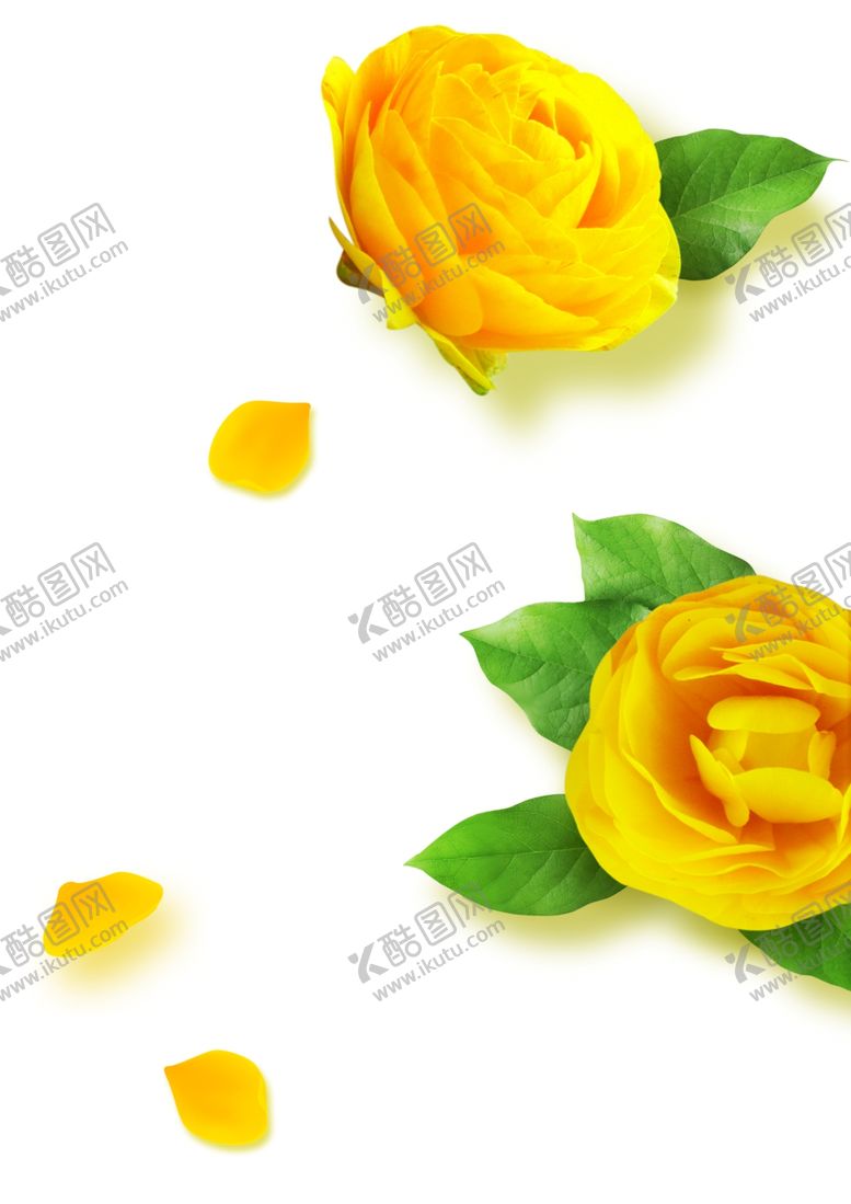 编号：82091204200026314474【酷图网】源文件下载-花朵