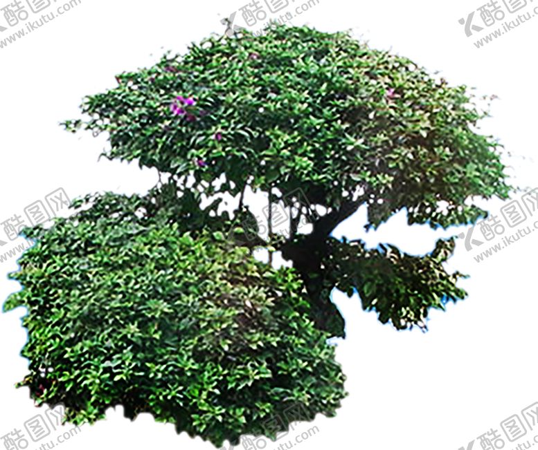 编号：90838107131454034459【酷图网】源文件下载-绿色植物