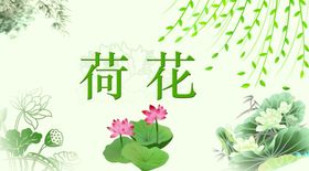 荷花鲜边框小清新背景春夏鲜背景边框