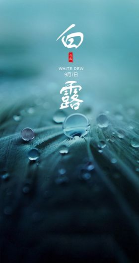 白露海报设计广告