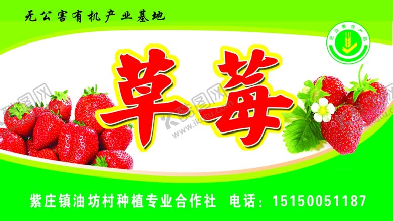编号：37998110250115296672【酷图网】源文件下载-草莓海报