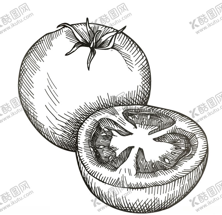 编号：99894410211452549156【酷图网】源文件下载-蔬菜