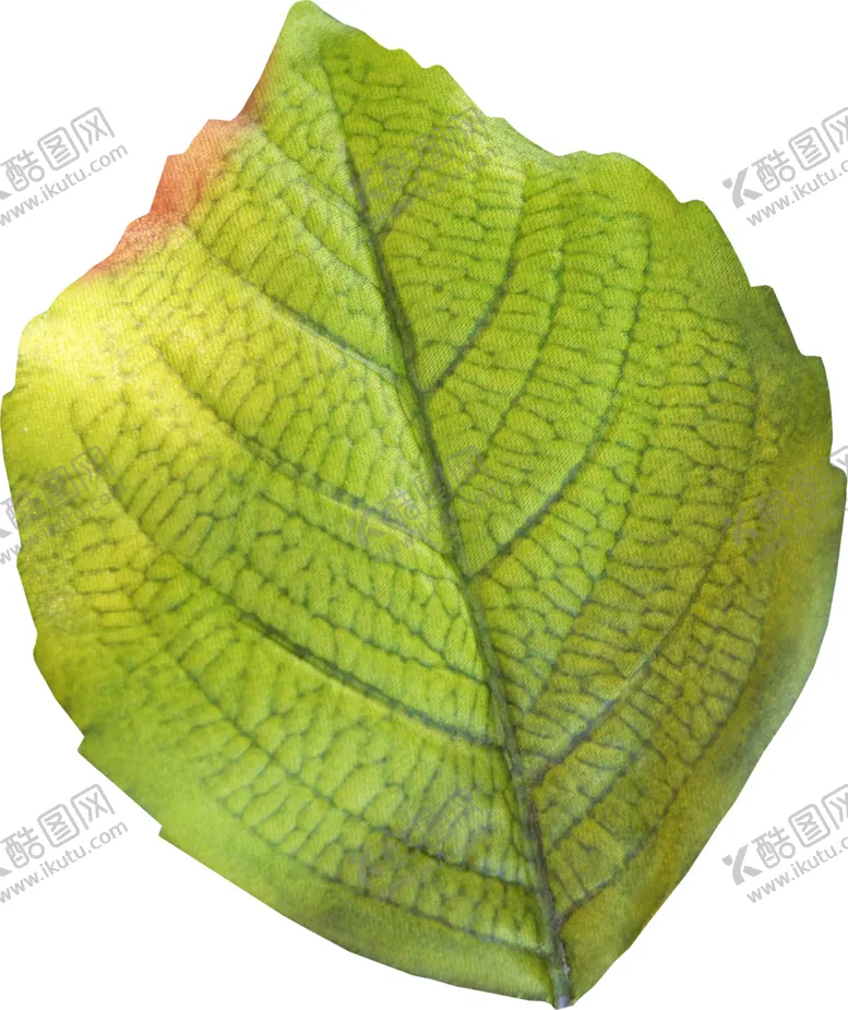 编号：81678406282344137159【酷图网】源文件下载-绿叶树枝
