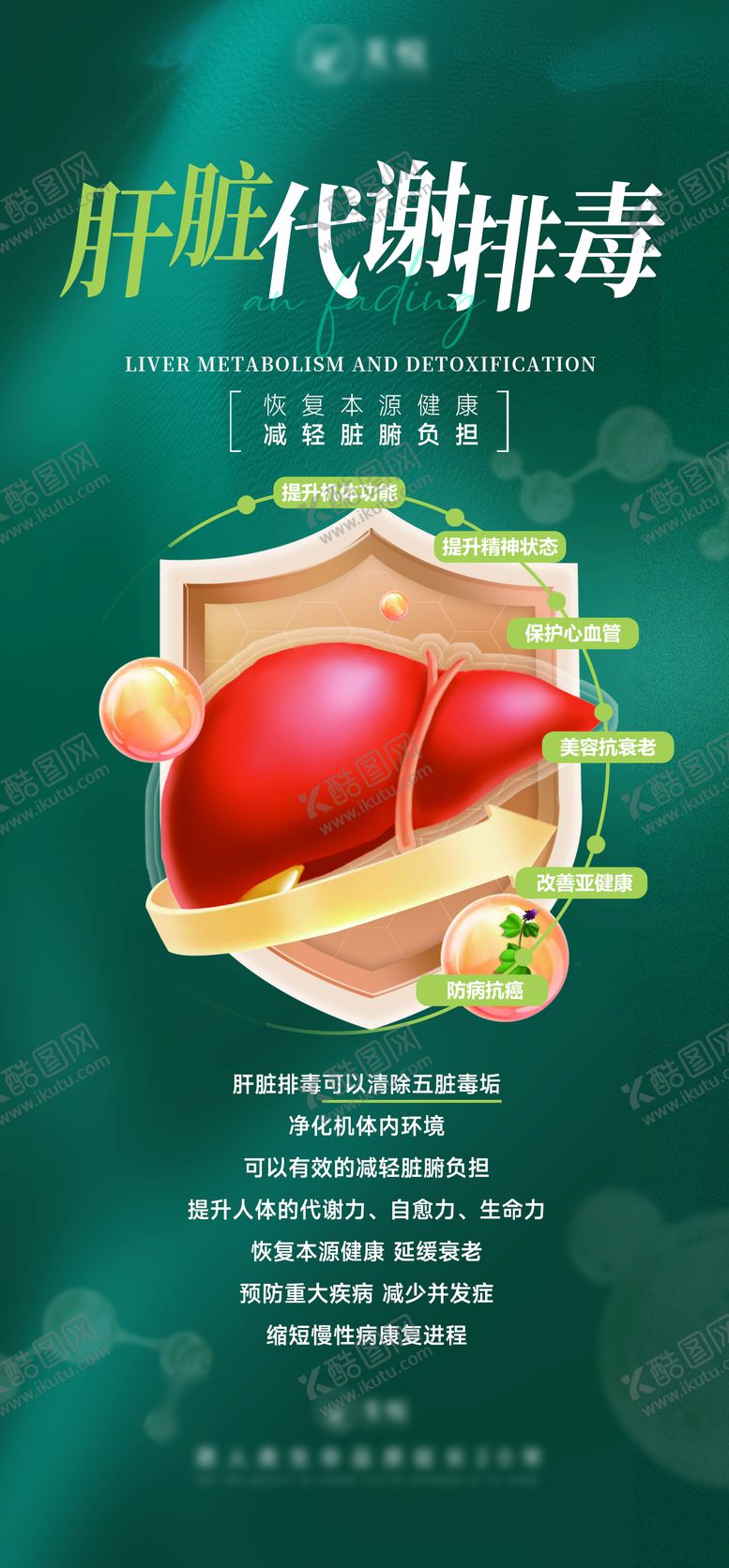 编号：66945702211200299458【酷图网】源文件下载-肝脏代谢排毒