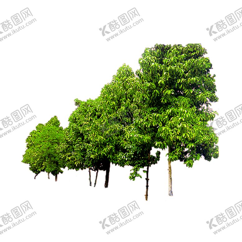 编号：43972910300139074200【酷图网】源文件下载-绿色装饰