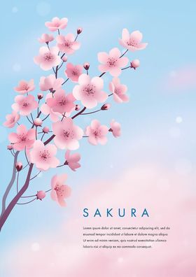 桃花展板