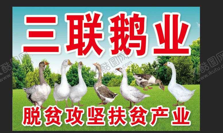 编号：29749010230320184950【酷图网】源文件下载-鹅