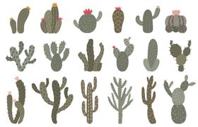 多样仙人掌植物插画