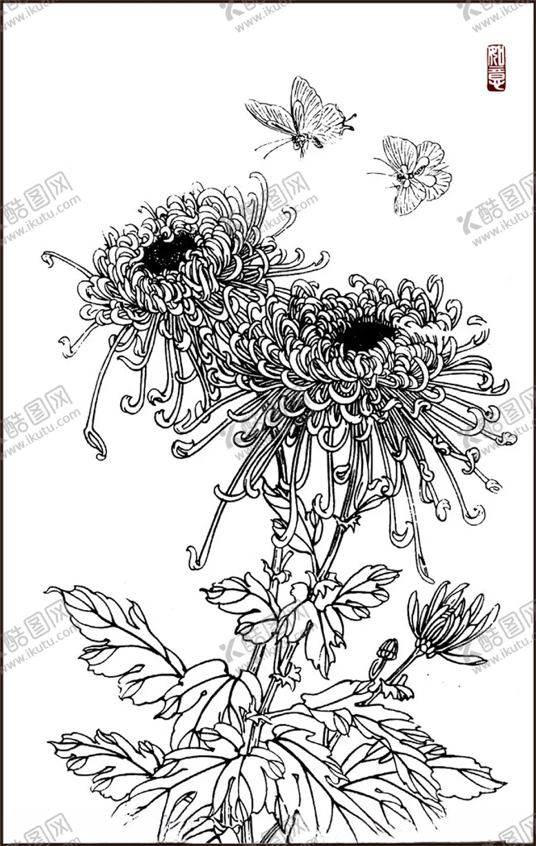编号：24785202191854292377【酷图网】源文件下载-矢量菊花