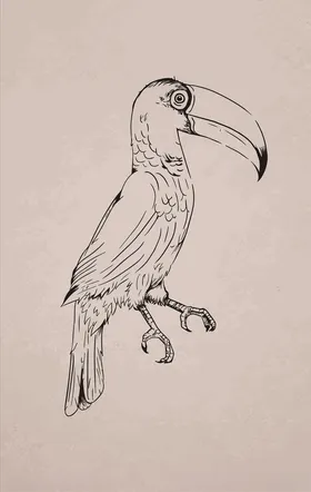 小鸟