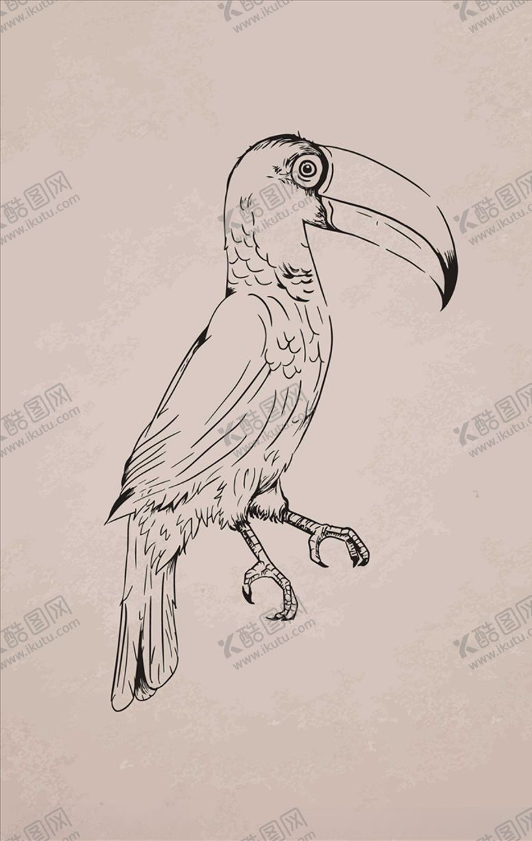 编号：50082910181616339715【酷图网】源文件下载-小鸟