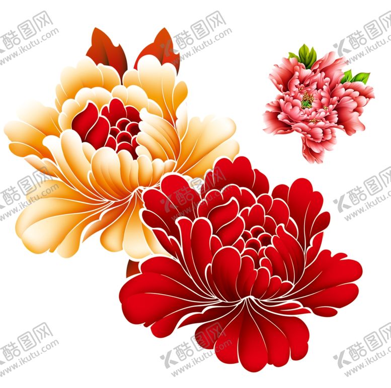 编号：61737410012005317358【酷图网】源文件下载-牡丹花