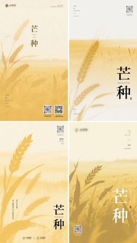 芒种节气移动端海报