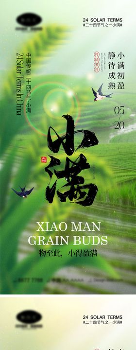 小满节气海报麦二十四丰收