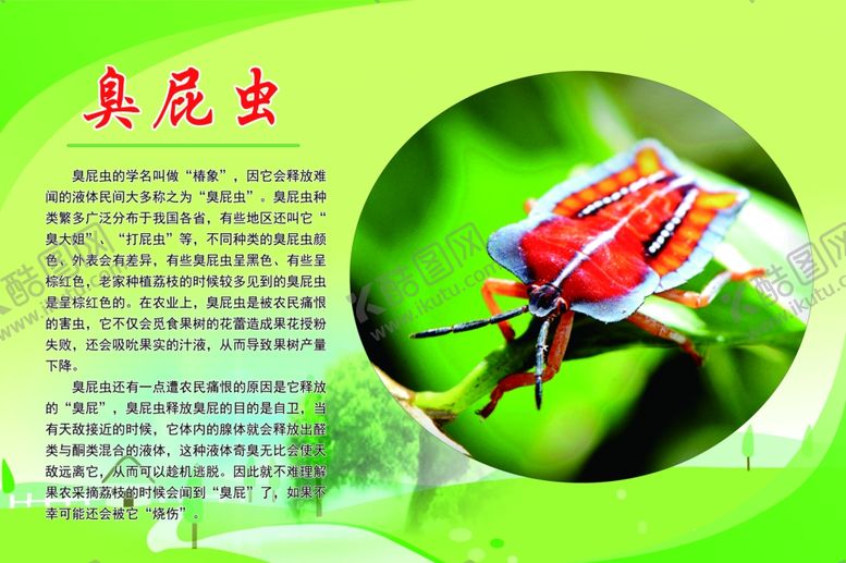 编号：71792002131513462913【酷图网】源文件下载-臭屁虫