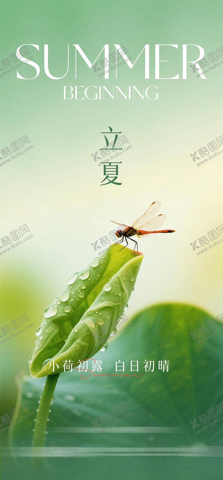 编号：23595404201339573826【酷图网】源文件下载-立夏节气清新海报