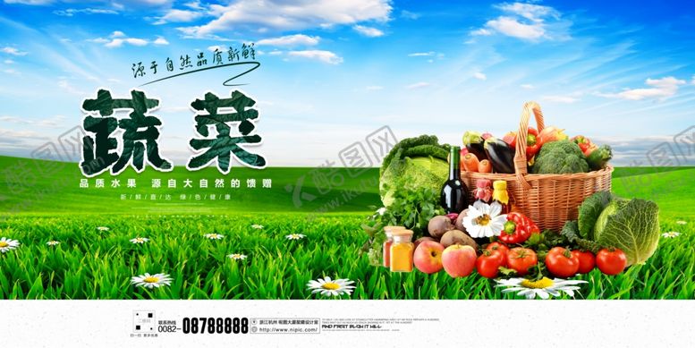 编号：70539009240236538953【酷图网】源文件下载-蔬菜蔬菜展板蔬菜海报