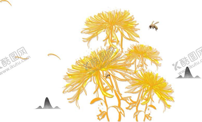 编号：95699209271800392066【酷图网】源文件下载-菊花素材
