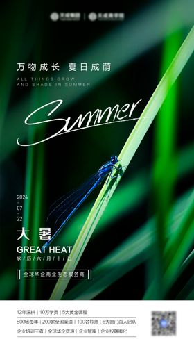 大暑节气海报植物