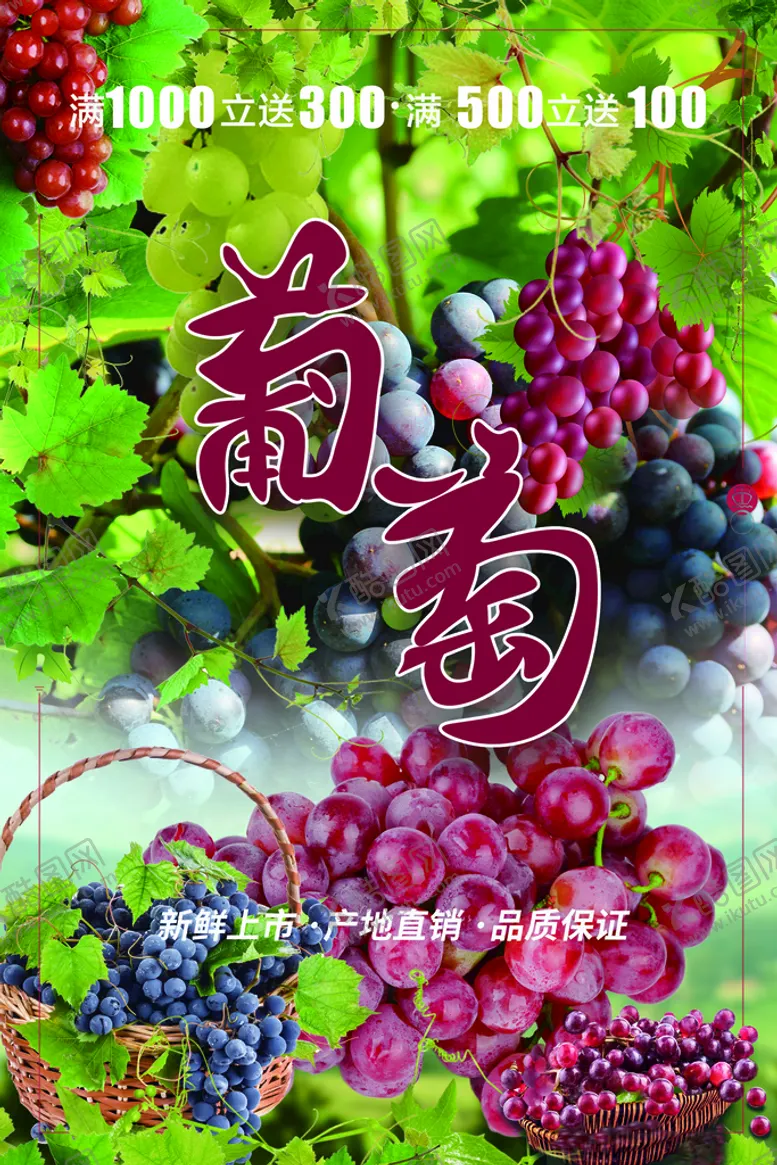编号：52433910151613095038【酷图网】源文件下载-葡萄海报