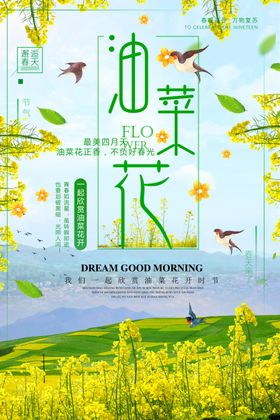 油菜花