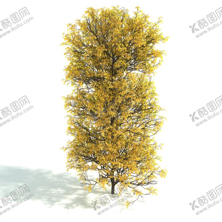 编号：78604610311246001181【酷图网】源文件下载-植物篱笆