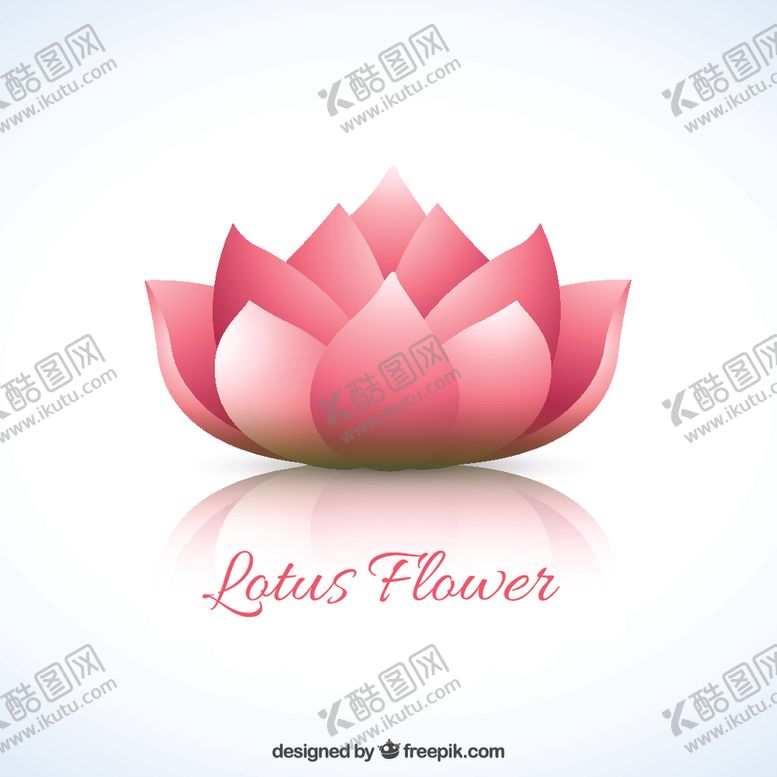编号：77378606302350323777【酷图网】源文件下载-荷花