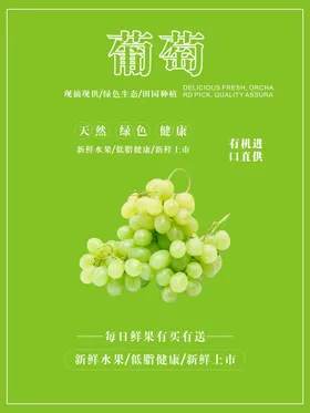 葡萄海报有机红提提子