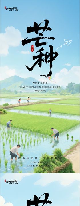 芒种节气系列海报