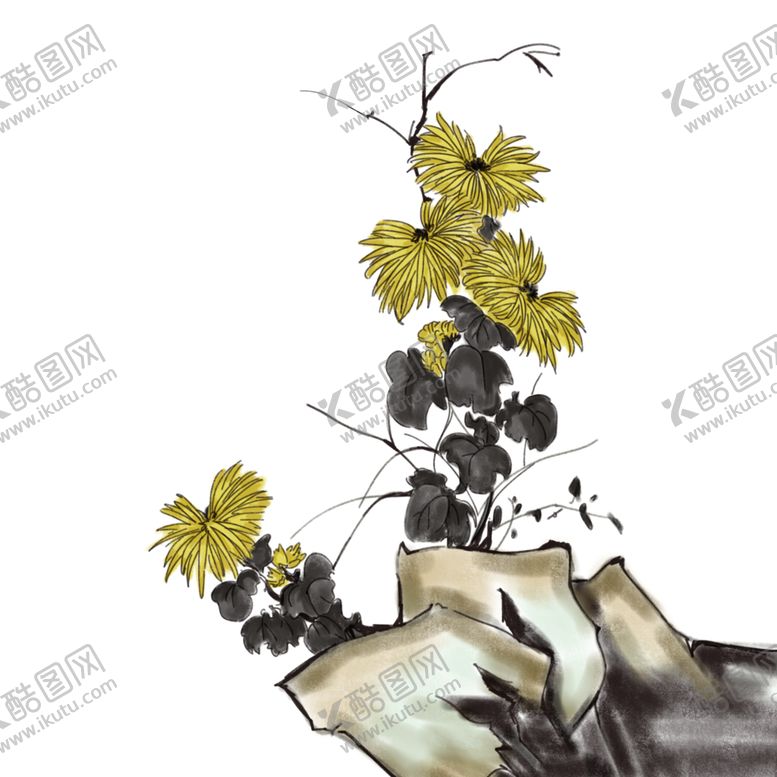 编号：68886110251708429528【酷图网】源文件下载-菊花素材