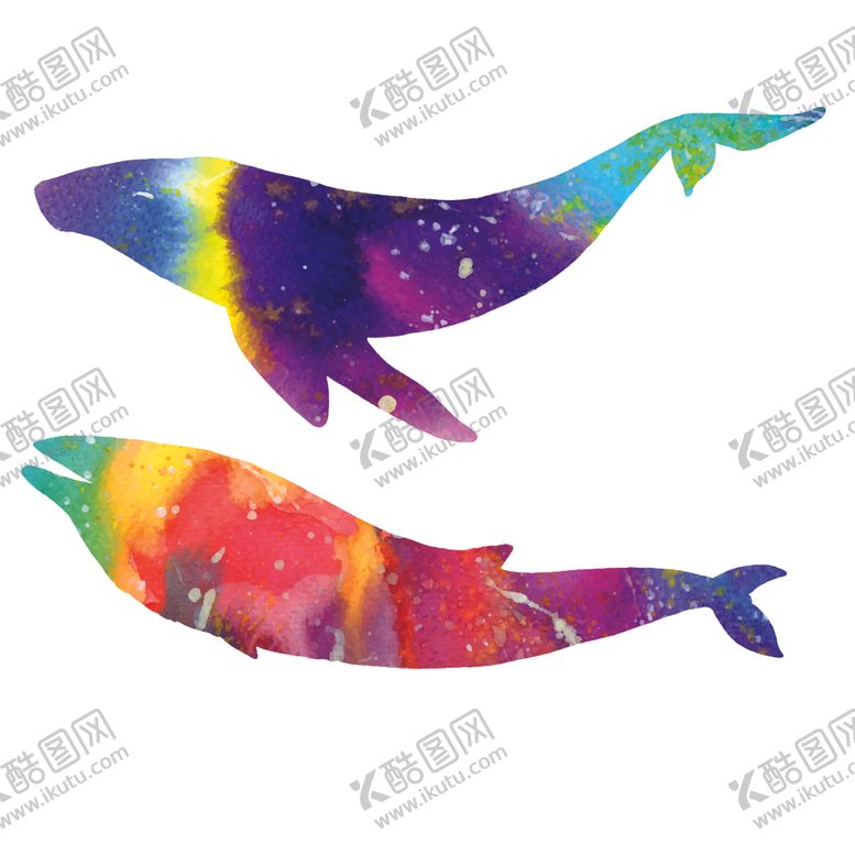 编号：63667709092152279458【酷图网】源文件下载-炫彩渐变鲸鱼图案