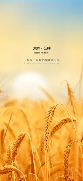 小满芒种海报