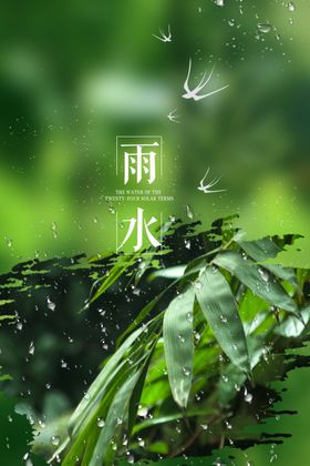 雨水
