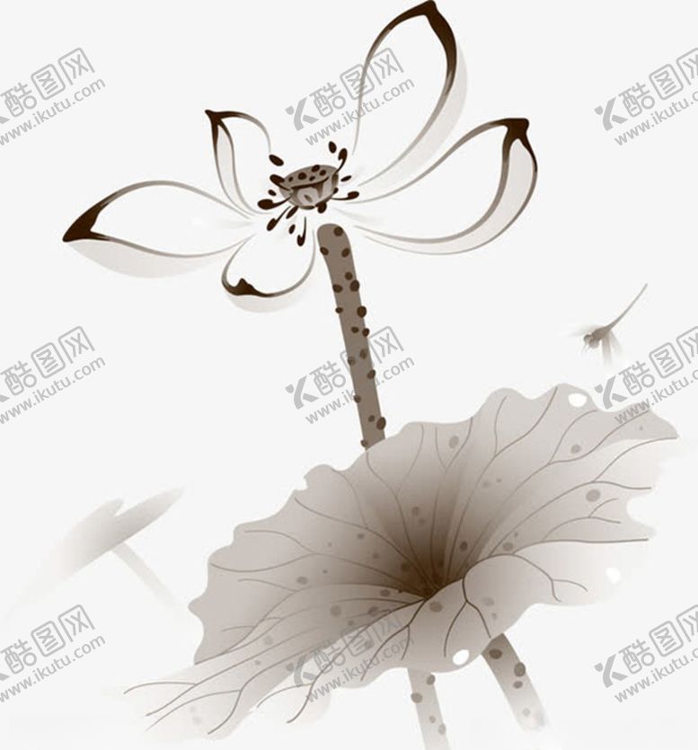 编号：87630106261038339659【酷图网】源文件下载-手绘水墨荷花